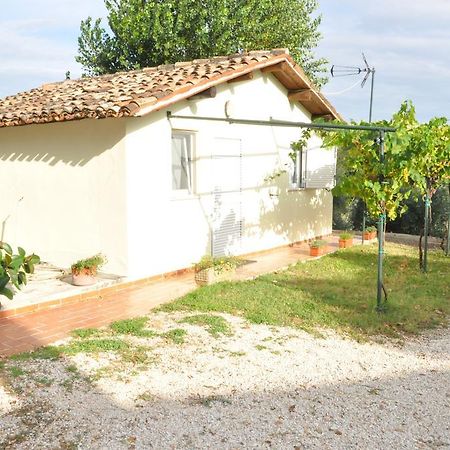 Villa La Vite Sul Tetto Agugliano Exterior foto