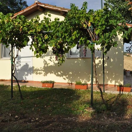 Villa La Vite Sul Tetto Agugliano Exterior foto