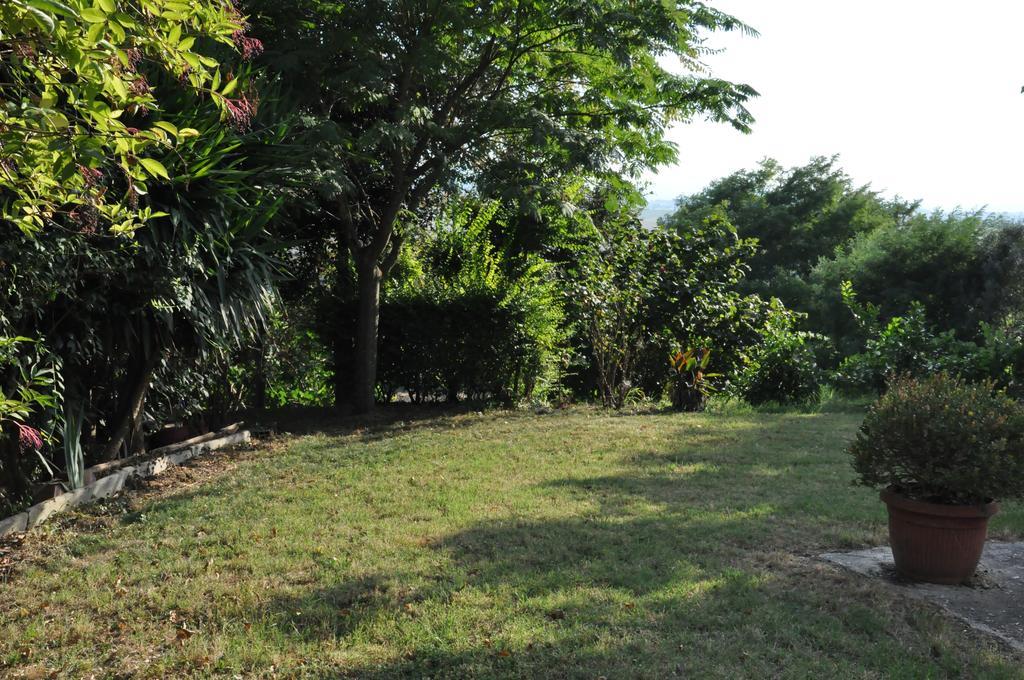 Villa La Vite Sul Tetto Agugliano Exterior foto