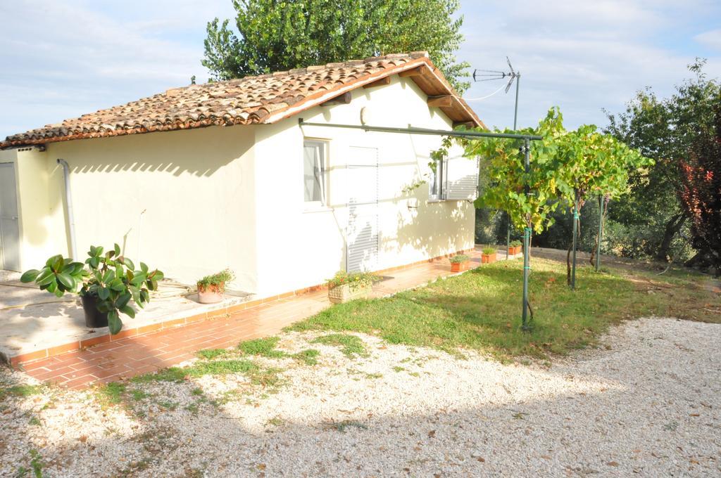 Villa La Vite Sul Tetto Agugliano Exterior foto