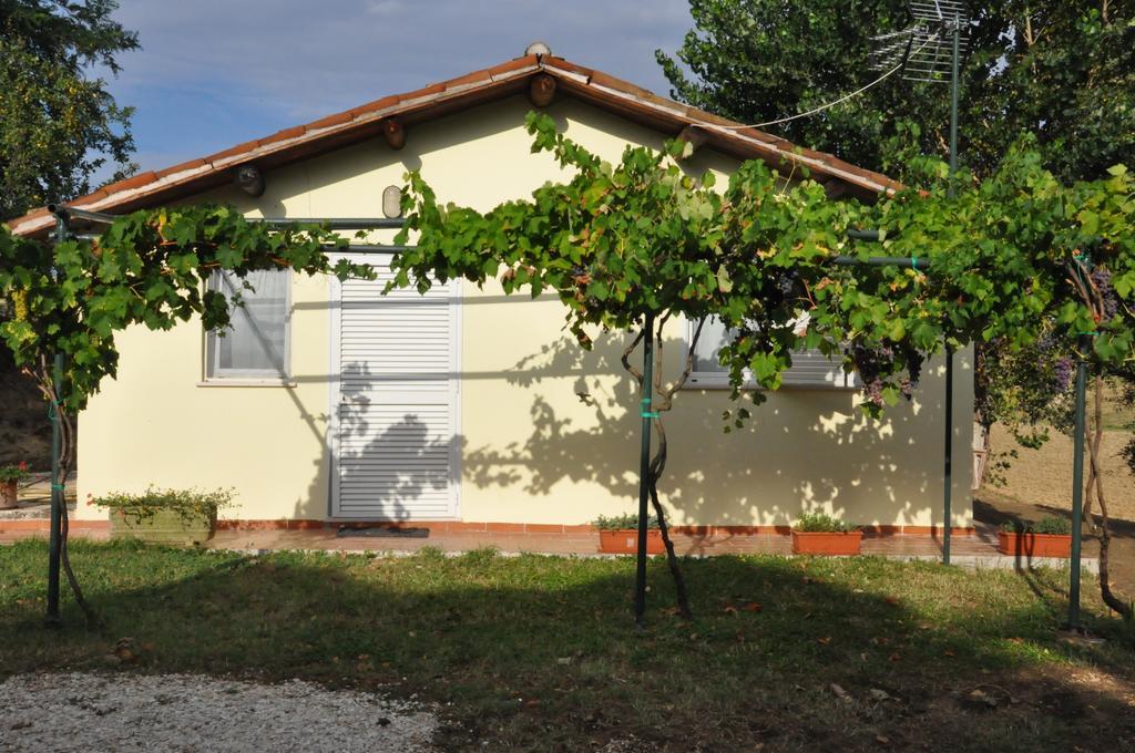 Villa La Vite Sul Tetto Agugliano Exterior foto