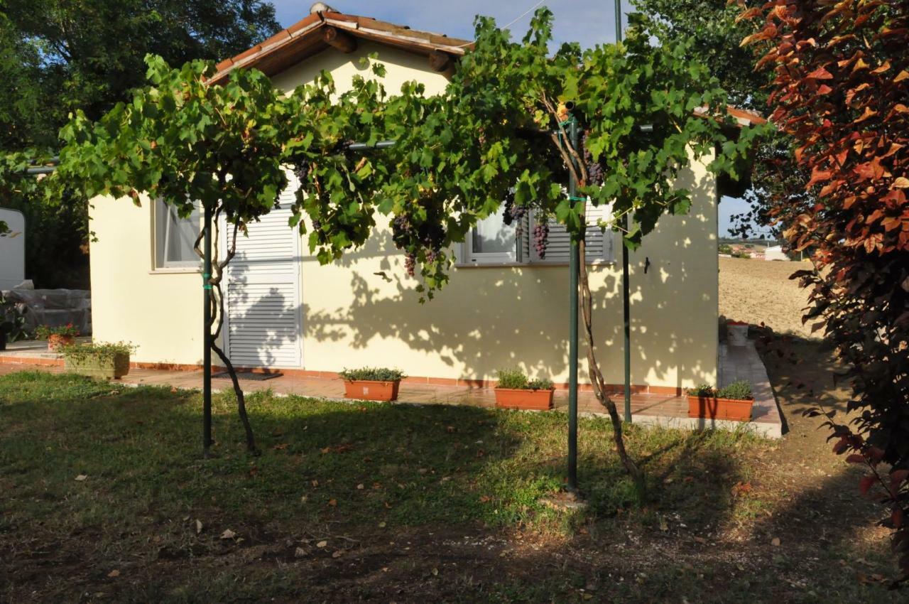 Villa La Vite Sul Tetto Agugliano Exterior foto